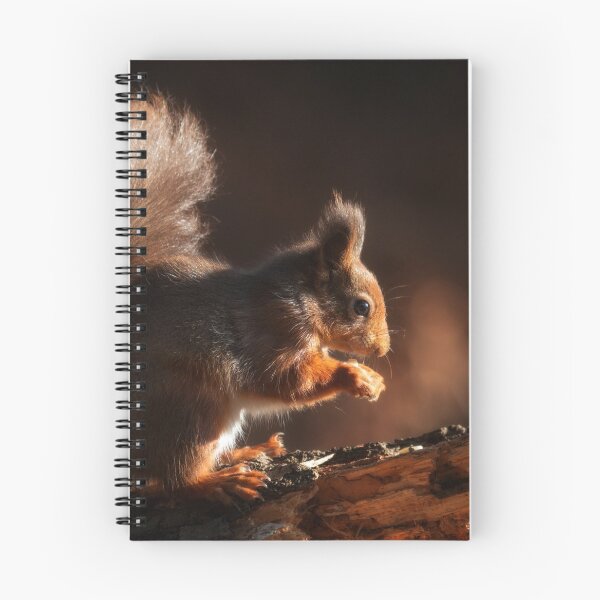 Item preview, Red Squirrel designed and sold by Great North Views.