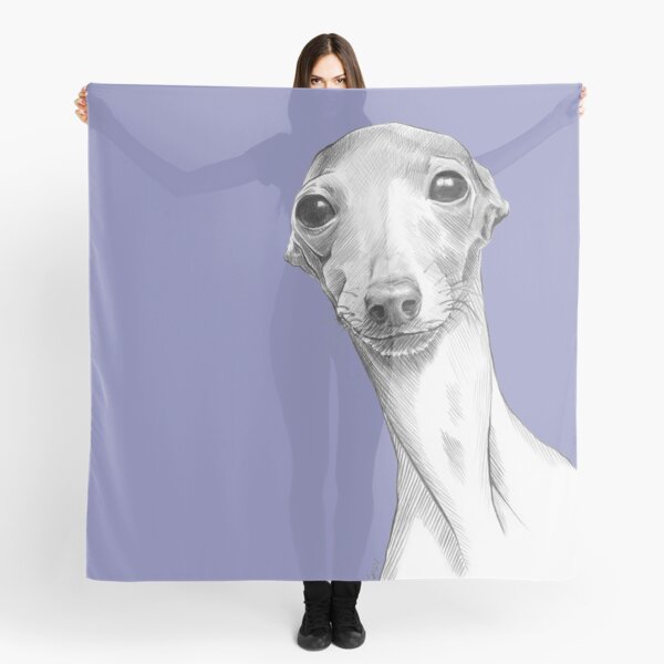 Italian greyhound blanket hot sale