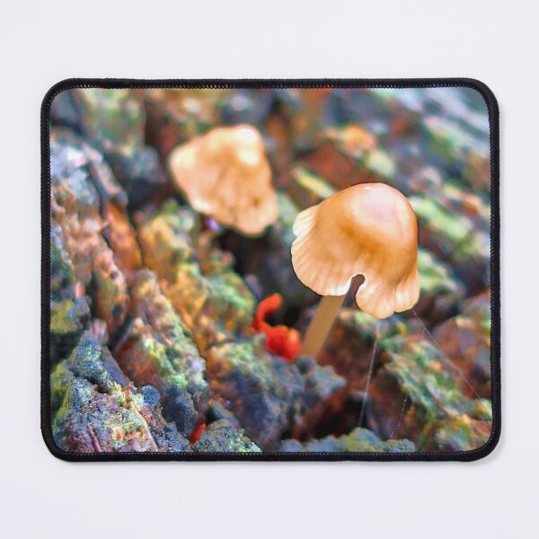 Item preview, forest lights designed and sold by light-blower.