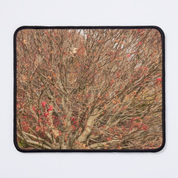 Item preview, tree background designed and sold by Francespoppy.