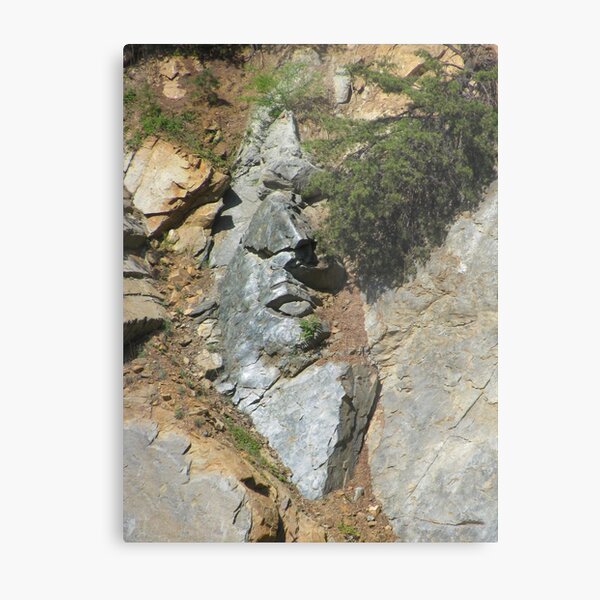 Aperçu de l'œuvre Stone Face créée et vendue par Ginny York.