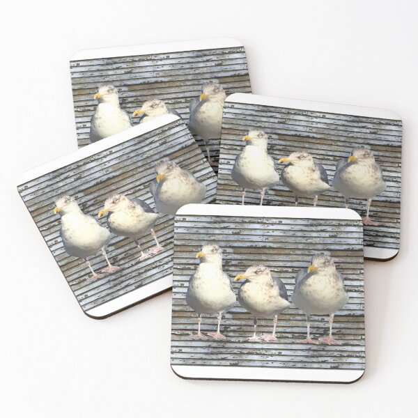 Item preview, The Cape Cod gulls are here! designed and sold by Susan Gallup.