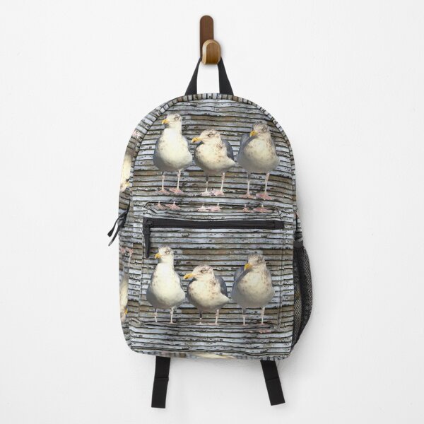 Item preview, The Cape Cod gulls are here! designed and sold by Susan Gallup.