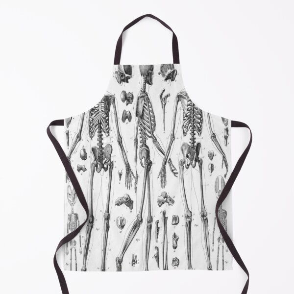 Item preview, Human anatomy Skeleton vntage   designed and sold by bevisjones43.