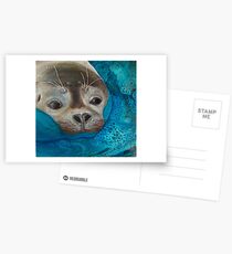 Seal Just a Peek Postcards