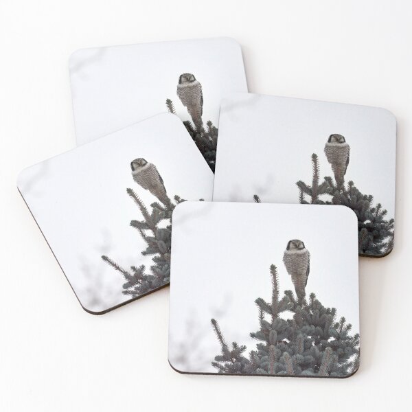 Item preview, On the watch. Northern hawk-owl designed and sold by Jouko Lehto Photography.