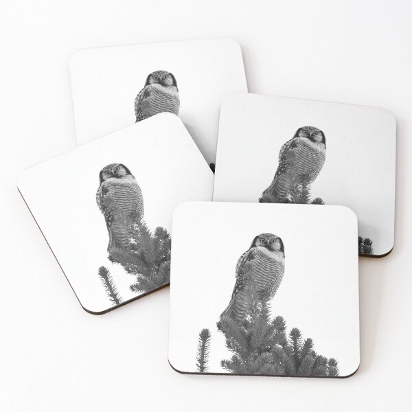 Item preview, Basic portrait. Northern hawk-owl bw designed and sold by Jouko Lehto Photography.