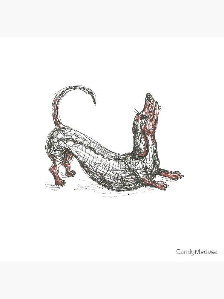 Dachshund Long sausage dog, doxie, weiner, pen and ink