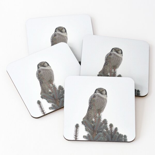 Item preview, Basic portrait. Northern hawk-owl designed and sold by Jouko Lehto Photography.