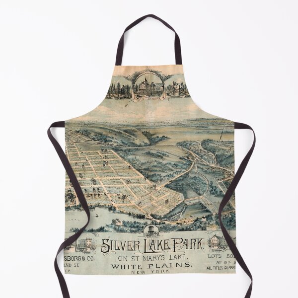 Item preview, Silver Lake Park, New York (c1880) designed and sold by allhistory.