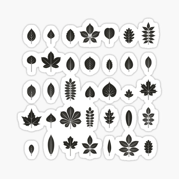 Identification Chart, Leaves of Trees and Shrubs – Iris Luckhaus