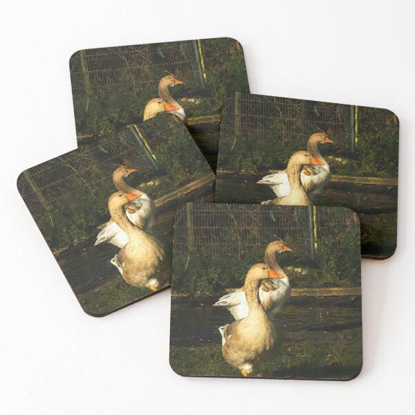Item preview, domestic goose designed and sold by Francespoppy.