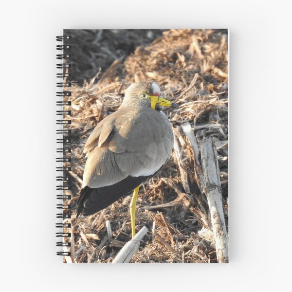 Item preview, Wattled Lapwing designed and sold by cryophytum.