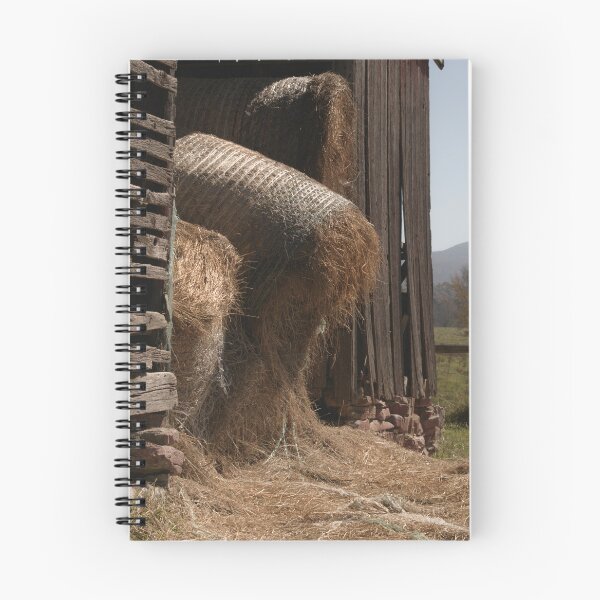 Item preview, Bursting designed and sold by Jim Love.