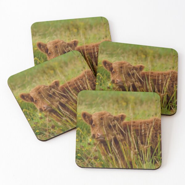 Item preview, ternero montañés designed and sold by Vanja Rosenthal.
