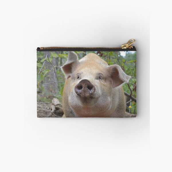 Item preview, Curious Miss Piggy  designed and sold by Aleesha Haigwood.