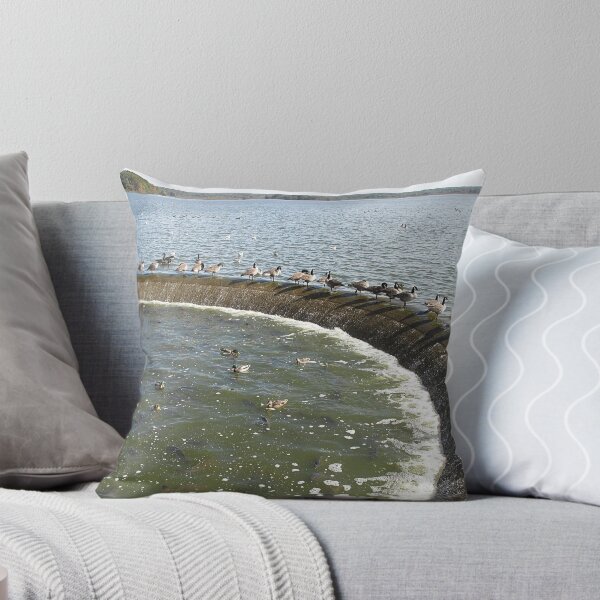Item preview, Spoilers of the Spillway designed and sold by Monnie Ryan.