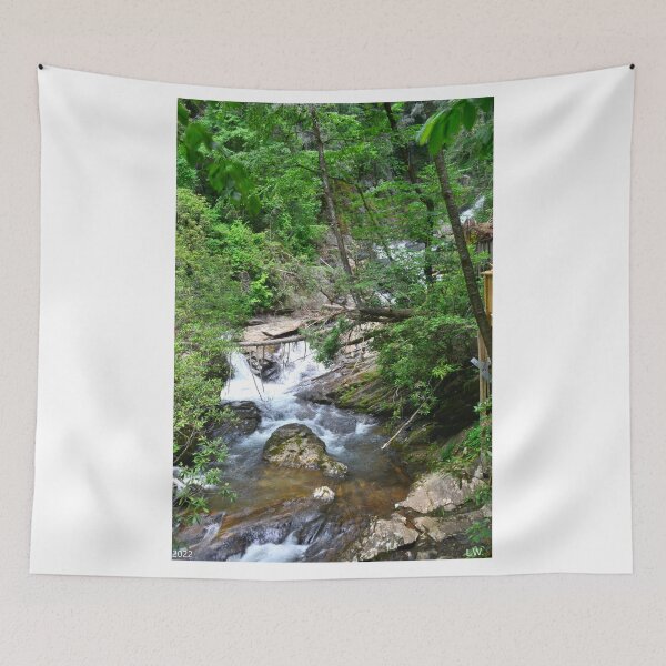 Item preview, Looking Up Dukes Creek White County Georgia Vertical designed and sold by LisaWootenPhoto.
