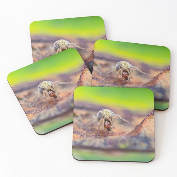 Item preview, Tiny Spider designed and sold by AronsTinySafari.