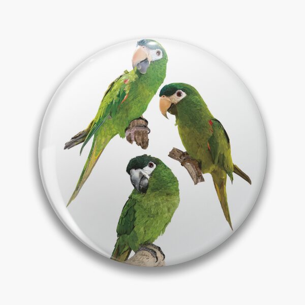 Item preview, The noble macaw designed and sold by obscurite.
