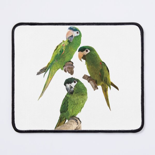 Item preview, The noble macaw designed and sold by obscurite.