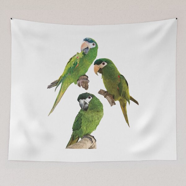 Item preview, The noble macaw designed and sold by obscurite.