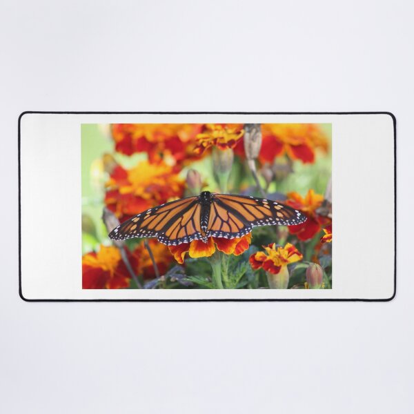 Item preview, Butterfly V Collection 2 designed and sold by MkwCreator.
