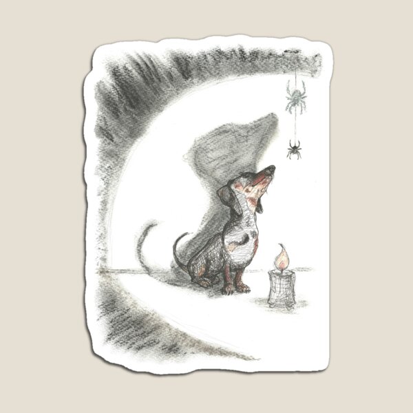 Dachshund and spider. Spooky sausage dog, doxie shadow, illustration. Magnet
