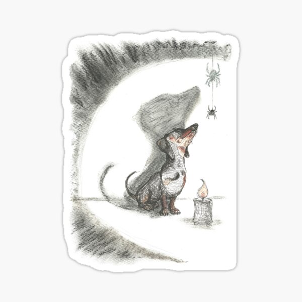 Dachshund and spider. Spooky sausage dog, doxie shadow, illustration. Sticker