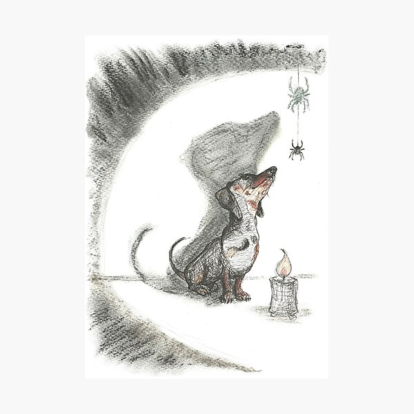 Dachshund and spider. Spooky sausage dog, doxie shadow, illustration. Photographic Print