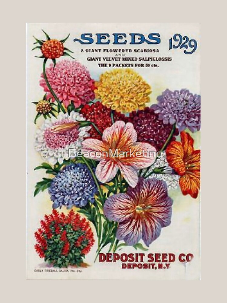 Vintage Seed Pack Art  Photographic Print for Sale by BeaconMarketing