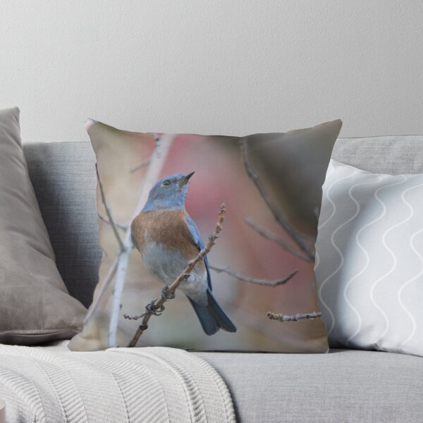 Item preview, Western Bluebird 2 designed and sold by Denise Okeson-Messner.