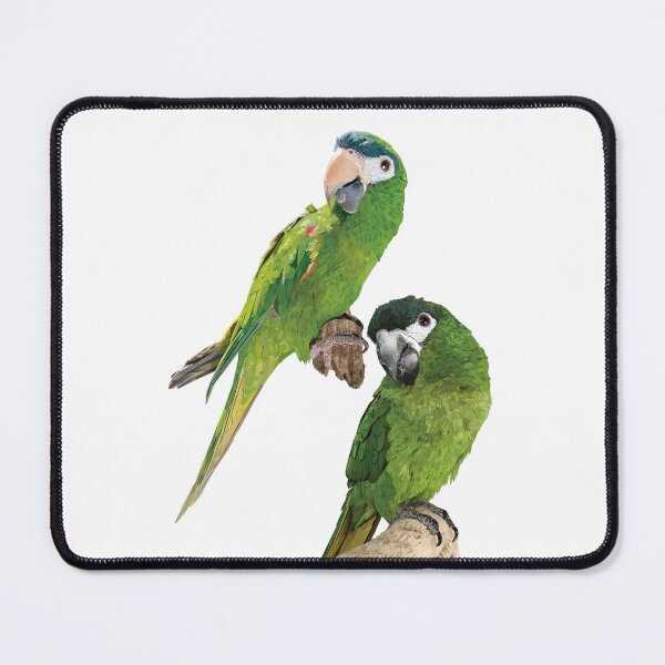 Item preview, The noble macaw designed and sold by obscurite.