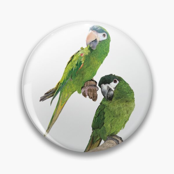 Item preview, The noble macaw designed and sold by obscurite.