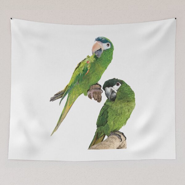 Item preview, The noble macaw designed and sold by obscurite.