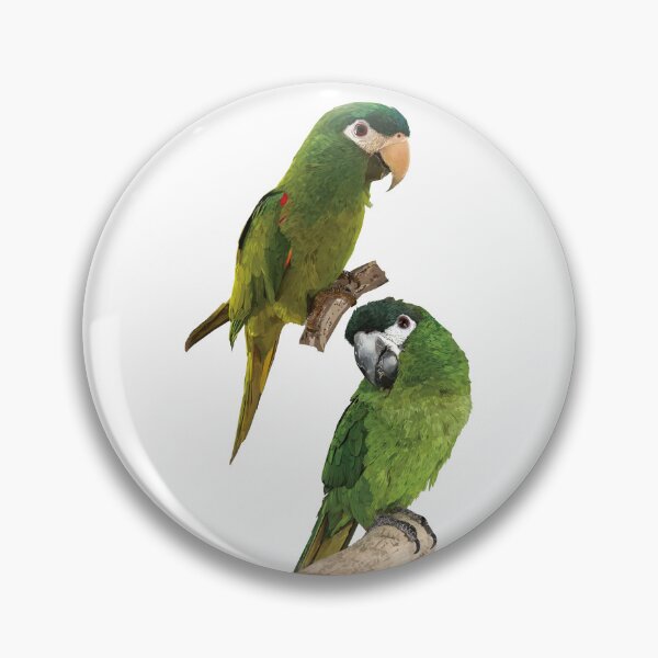 Item preview, The noble macaw designed and sold by obscurite.