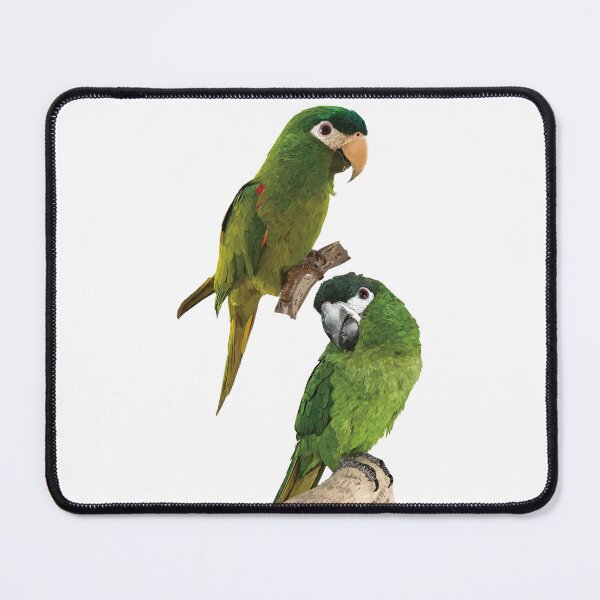 Item preview, The noble macaw designed and sold by obscurite.