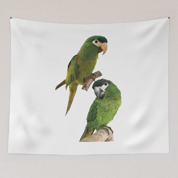 Item preview, The noble macaw designed and sold by obscurite.