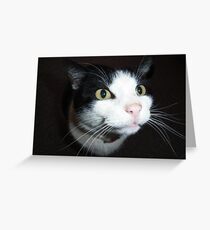 Candid Greeting Card