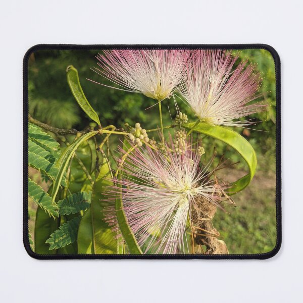 Item preview, Persian Silk Tree in Bloom designed and sold by TheRealDanniX.