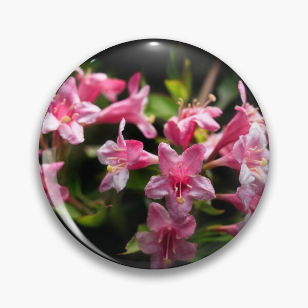 Item preview, Pink flowers on black background designed and sold by olena2552.