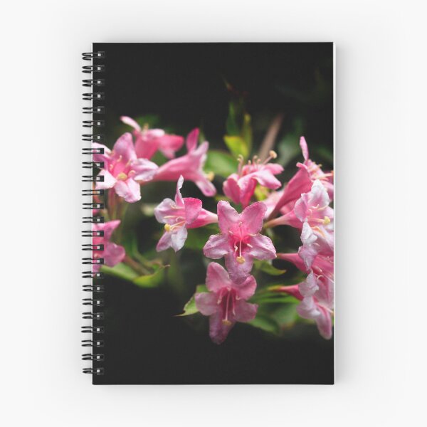 Item preview, Pink flowers on black background designed and sold by olena2552.