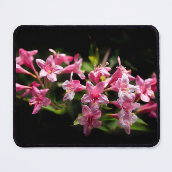 Item preview, Pink flowers on black background designed and sold by olena2552.