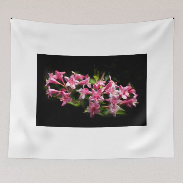 Item preview, Pink flowers on black background designed and sold by olena2552.