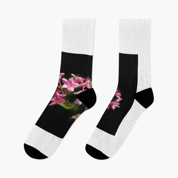 Item preview, Pink flowers on black background designed and sold by olena2552.