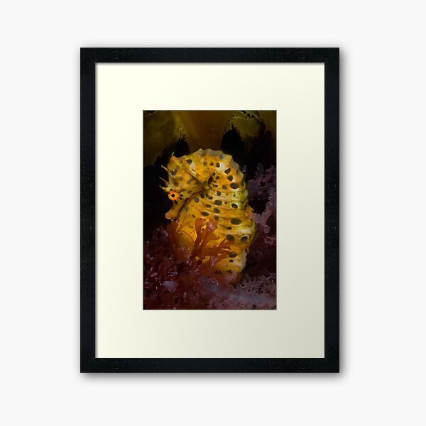 Life under the Portsea Pier Framed Art Print