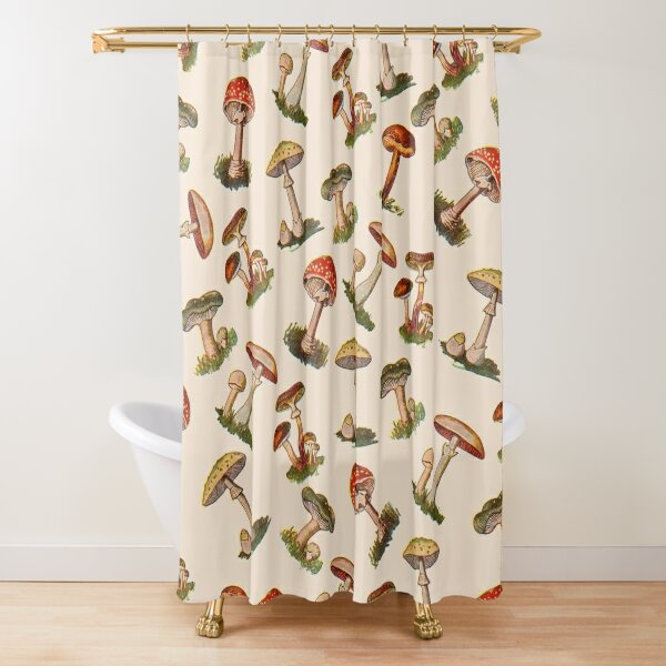 https://ih1.redbubble.net/image.458375758.3475/ur,shower_curtain_closed,square,600x600.1u3.jpg