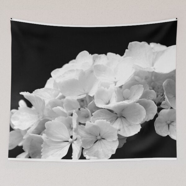Item preview,  White Hydrangea on Black Background designed and sold by Aradalo.