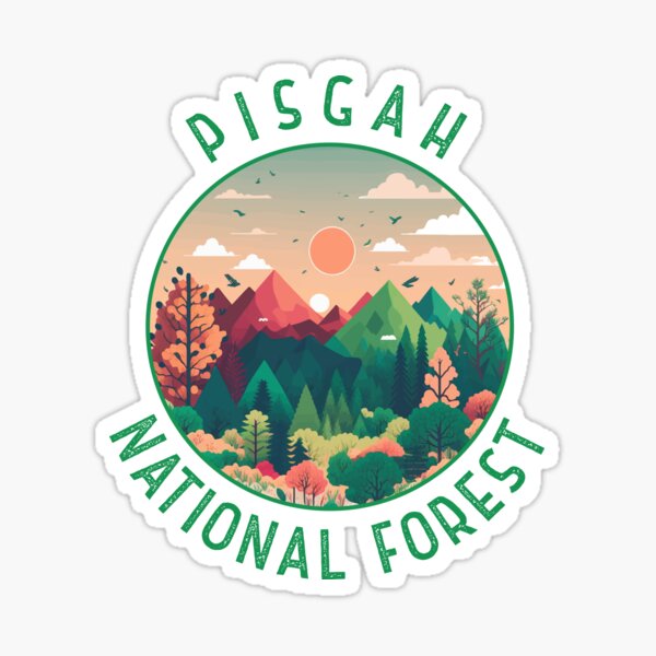 Pisgah National Forest Trees 3 Vinyl Sticker – Starfangled Press