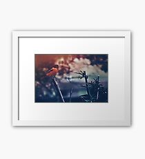 New Dawning Framed Print